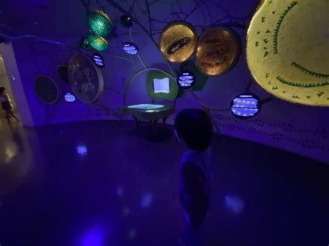 The Mind Museum Ticket Price As Of July 2024 .